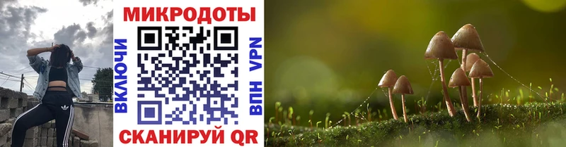 купить наркотик  мега tor  Галлюциногенные грибы Cubensis  Арамиль 